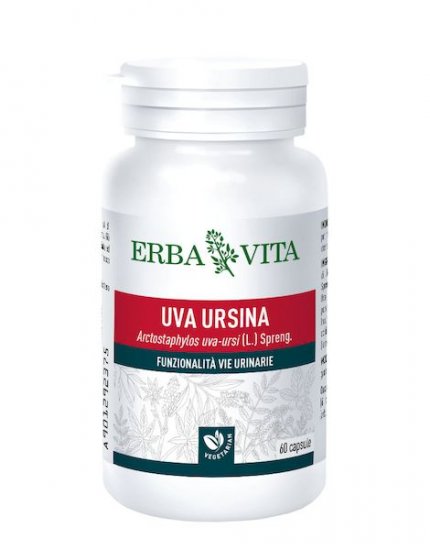 Uva Ursina - Clicca l'immagine per chiudere