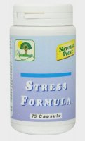 Stress Formula