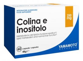 Choline and Inositol