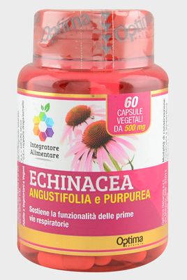Echinacea Angustifolia e Purpurea - Clicca l'immagine per chiudere