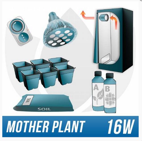 Mini Grow Kit for Mother Plant Maintenance - Click Image to Close
